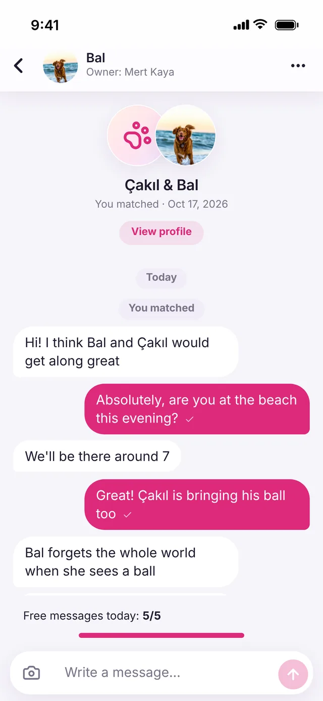 Chat screen in the PatiMatch app
