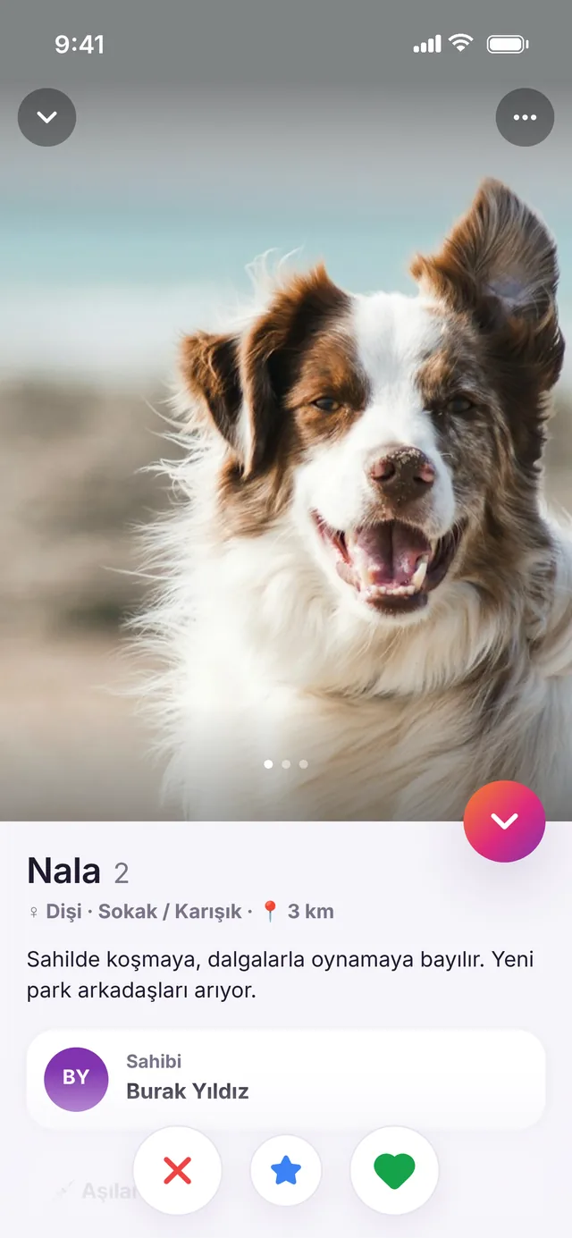 PatiMatch uygulamasında Pet detayı ekranı