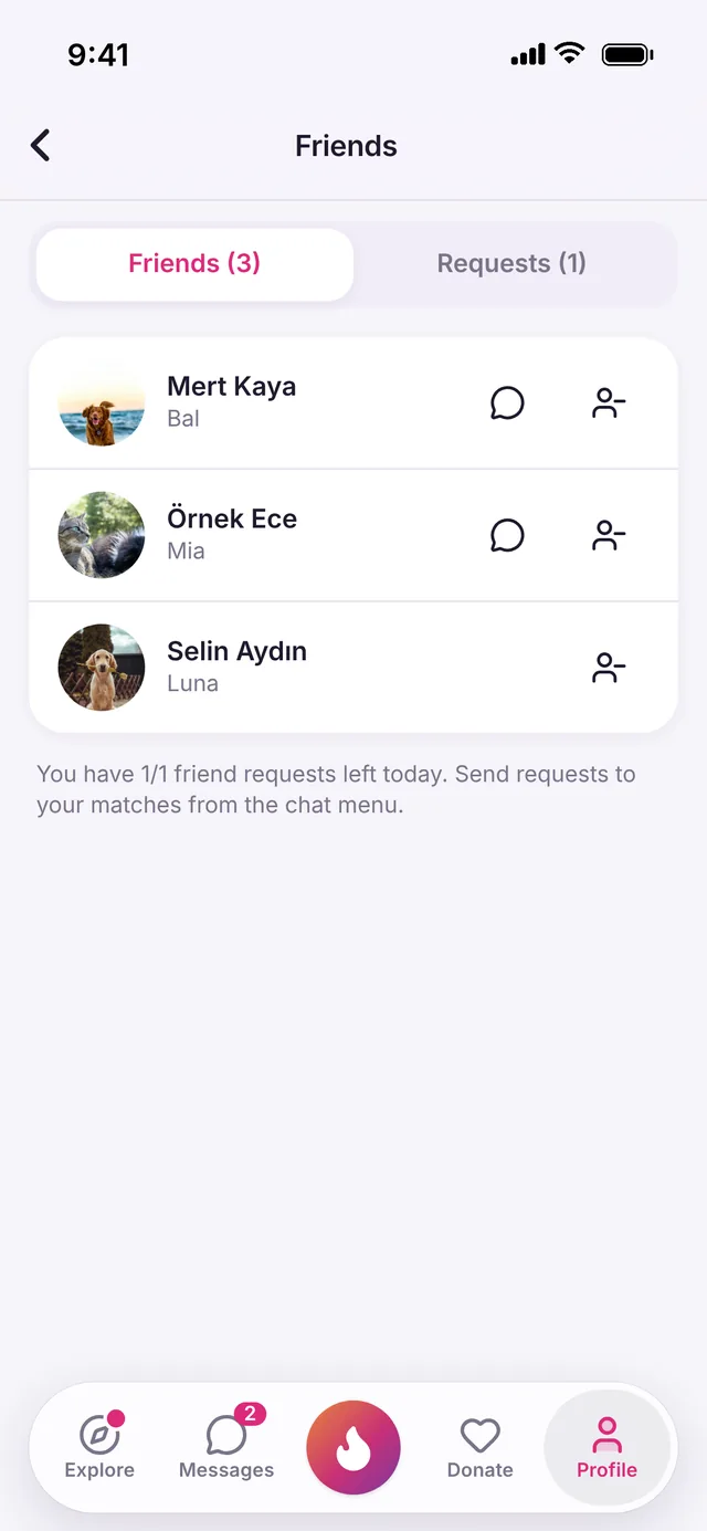 Friends screen in the PatiMatch app
