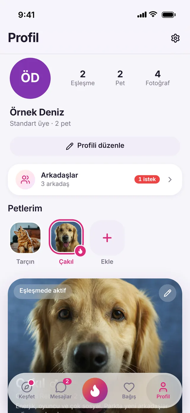 PatiMatch uygulamasında Profil ekranı